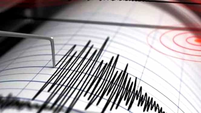 INFP, prima reacție oficială despre sistemul prin care cutremurele pot fi prevăzute. „E singurul din Europa”