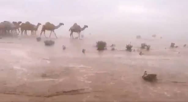 Regiuni din deşertul Golfului Persic au fost inundate! Video! Imagini incredibile