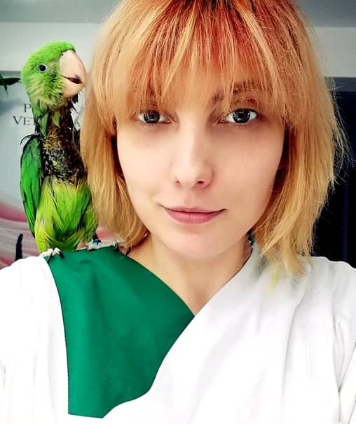 Imaginea cu acest papagal a devenit virală pe internet! N-ai să ghiceşti care este motivul