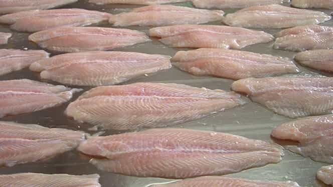 Pericolele consumului de pește crud. Ce afecțiuni grave poți contacta!