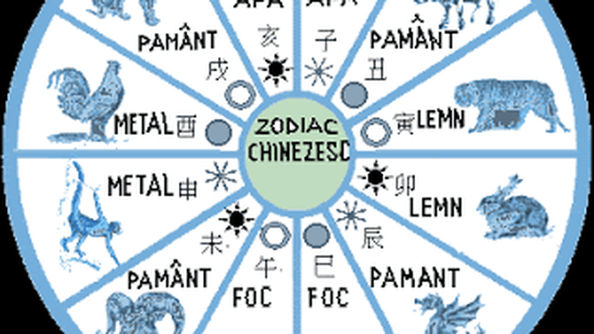 Zodiac chinezesc, joi, 28 noiembrie. Tigrul este plin de sine și nu are nevoie de aprecierile celor din jur
