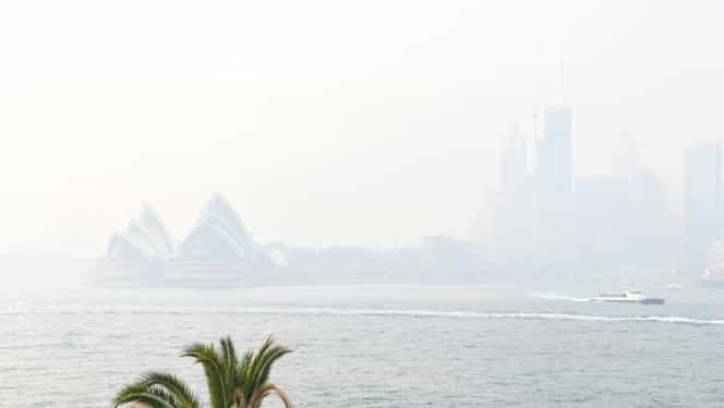 Urgență de sănătate publică în Sidney. Un nor de fum toxic a învăluit cel mai mare oraș al Australiei
