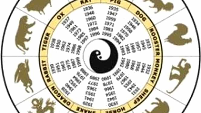 Zodiac chinezesc: vineri, 8 mai 2020. Câinele primește o veste care-i schimbă viața la 180 de grade