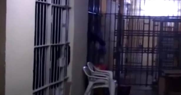 Cum arată închisoarea în care e închisă Udrea! FOTO și Video din locul de coșmar