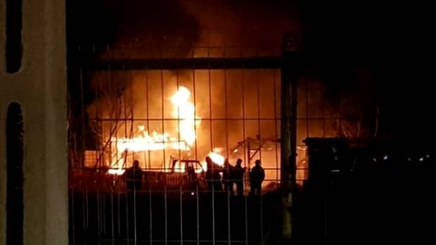 Tragedie în Buzău! Sute de porci au murit în urma unui incendiu