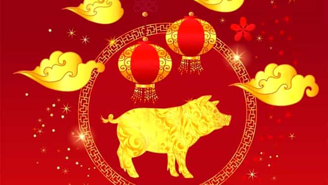 Horoscop chinezesc 2019, anul mistrețului de pământ! Cum ne influențează în funcție de zodie