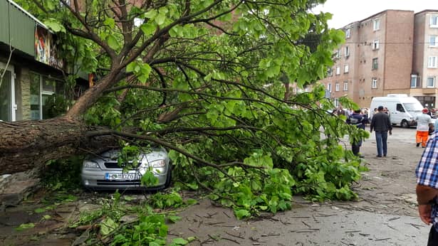 Furtuna a făcut ravagii în ţară şi în Capitală! Doi răniţi, 167 de copaci prăbuşiţi şi 81 de maşini avariate. GALERIE FOTO şi VIDEO