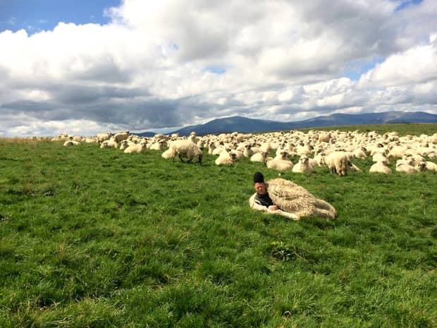 Ghiță Ciobanu, interviu inedit în The Guardian: “Comerțul cu oi a devenit o batjocură”