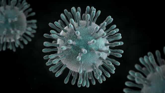 Vești proaste pentru omenire! Cercetătorii spun că temutul coronavirus ar putea deveni o boală sezonieră