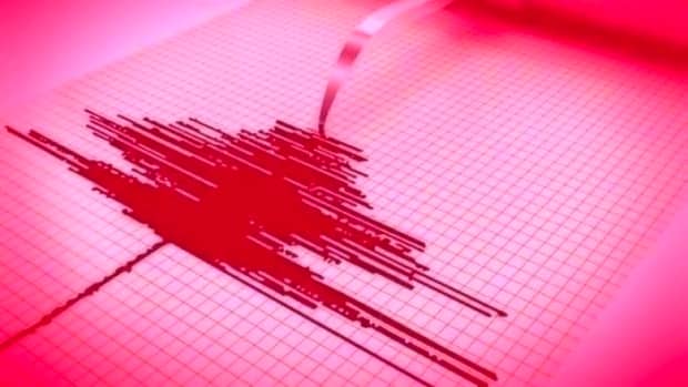 5 cutremure au zdruncinat vestul României. Cel mai puternic a avut magnitudinea 4,4