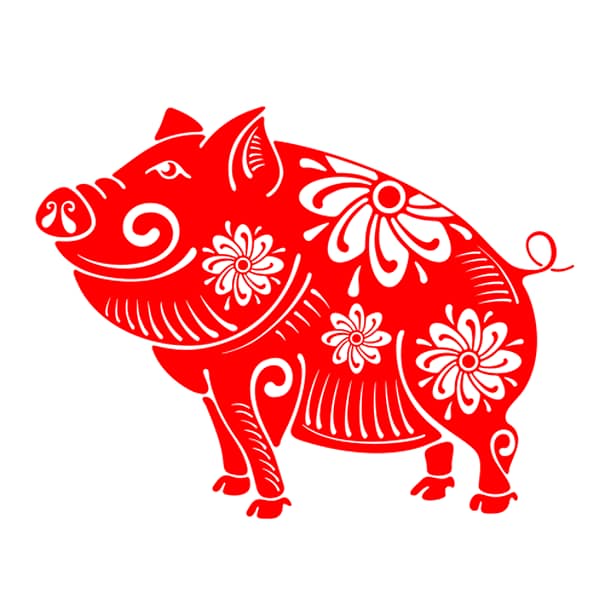 2019, anul Porcului de Pământ în zodiacul chinezesc. Ce înseamnă asta