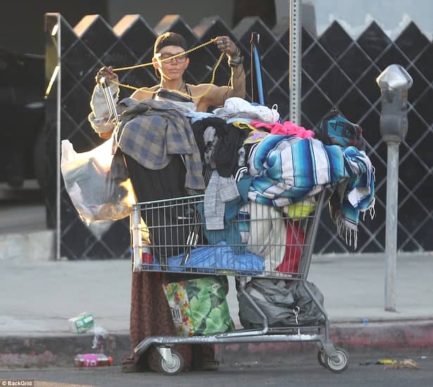 Lonni Willison, frumoasa de la Hollywood și soția unui fost star Baywatch a ajuns să doarmă pe străzi și să caute de mâncare prin gunoaie. Fostul model și antrenor de fitness a ajuns să nu mai aibă nimic, astfel să fie nevoită să ajungă în stradă. 