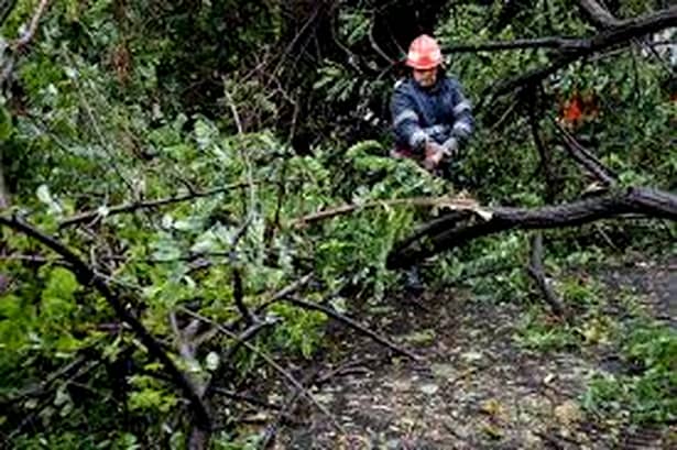 Furtuna a făcut ravagii în ţară şi în Capitală! Doi răniţi, 167 de copaci prăbuşiţi şi 81 de maşini avariate. GALERIE FOTO şi VIDEO