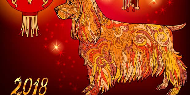 China a intrat în Anul Câinelui de Pământ! Care sunt numerele şi culorile norocoase