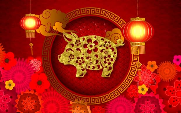 2019, anul Porcului de Pământ în zodiacul chinezesc. Ce înseamnă asta