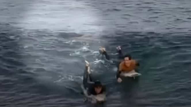 Luptă ca-n filme între un surfer și un rechin. Ce i-a făcut bărbatul ca să scape cu viață – Video