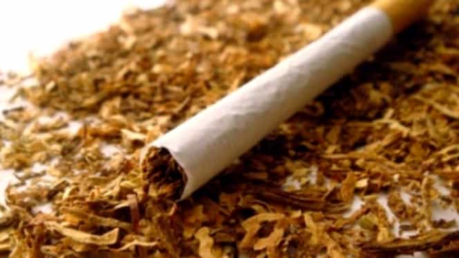 Motivul pentru care femeile din Tanzania folosesc tutun în zonele intime. O investigație BBC a dezvăluit totul!