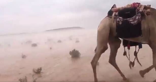 Regiuni din deşertul Golfului Persic au fost inundate! Video! Imagini incredibile