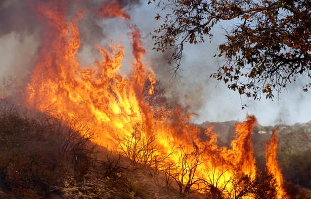 Incendii devastatoare, în California! Gerard Butler și alte vedete și-au pierdut locuințele