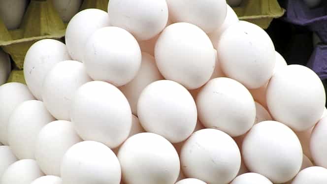Ouăle şi-au dublat preţul! ”Acum este un puseu pe piaţă generat de scandalul Fipronil”