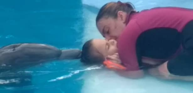 O fetiță, tratată de autism cu ajutorul delfinilor: „A început să-mi spună mama”