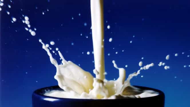 6 ianuarie, semnificaţii istorice! O fermă din America ambalează pentru prima dată laptele în recipiente de carton!