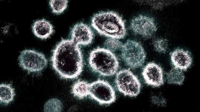De ce s-a răspândit coronavirusul atât de agresiv. Ce au descoperit oamenii de știință