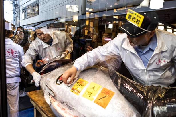 Regele tonului a plătit 3.1 milioane de dolari pentru un pește de 278 de kilograme. Este record absolut!