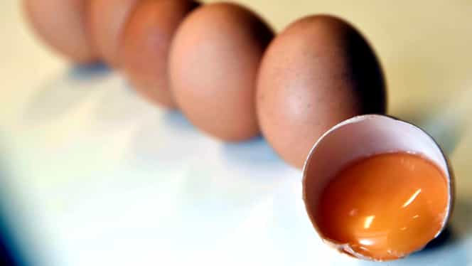 Alertă națională: sute de mii de ouă contaminate cu Fipronil, pe mesele românilor