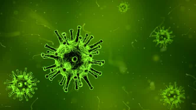 Yaravirusul, bacteria misterioasă descoperită în Brazilia! Oamenii de știință sunt în alertă