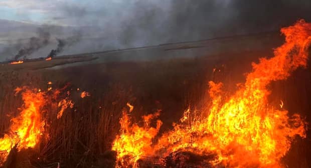BREAKING NEWS. Vremea neobișnuit de caldă a generat 270 de incendii în România. Peste 300 de pompieri au intervenit. VIDEO
