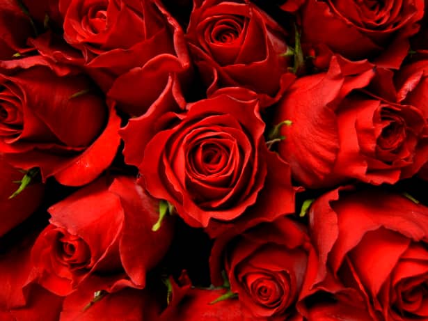 Mesaje de Valentine`s Day! Poze, SMS-uri și felicitări de Ziua Îndrăgostiților pentru persoana iubită