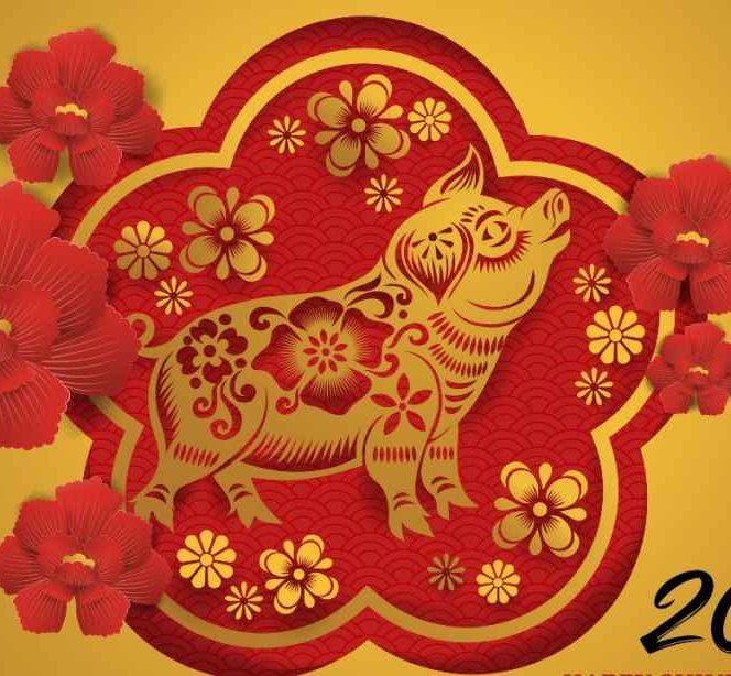 Ne apropiem de intrarea în anul Mistreţului de Pământ, confrom zodiacului chinezesc