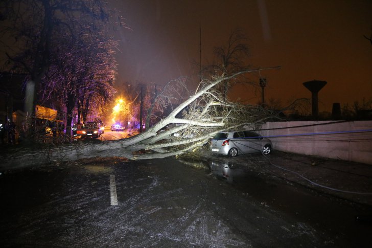 Noapte de coșmar din cauza înghețului și poleiului! Copaci căzuți peste mașini și întreruperi de energie electrică. Peste 100 de intervenții ale ISU