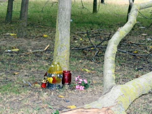 Acesta este altarul ridicat în memoria lui Răzvan Ciobanu, chiar la locul accidentului care i-a curmat viața. Sursa foto: click.ro