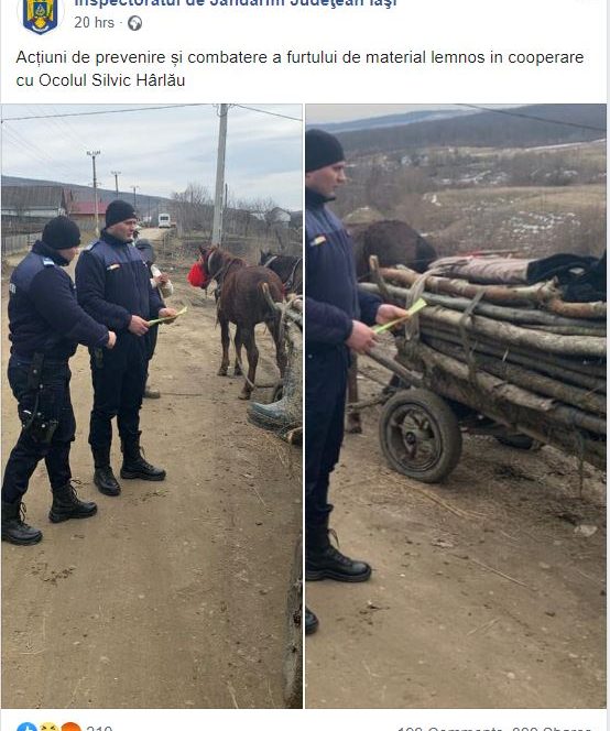Jandarmeria Iași se laudă că luptă cu defrișările cu două poize în care jandarmii verifică o căruță cu lemne